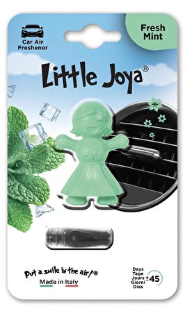 Little Joya Fresh Mint Kalorifere Geçme Oto Kokusu Taze Nane