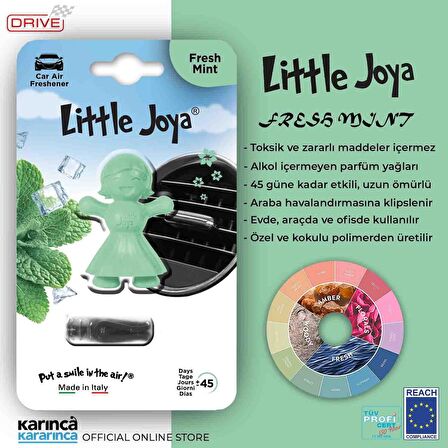 Little Joya Fresh Mint Kalorifere Geçme Oto Kokusu Taze Nane