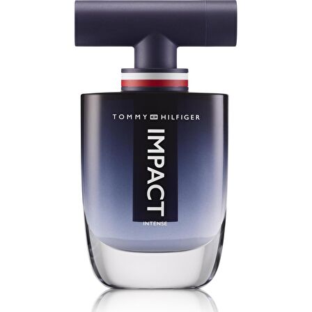 Impact Intense EDP 100 ml Erkek Parfümü