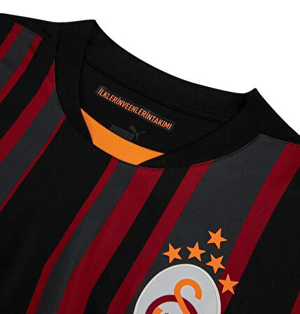 Galatasaray S.K. Siyah Forma 24/25 Üçüncü Forma 5 Yıldızlı Erkek Forma