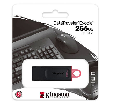 256gb Usb3.2 Gen1 Dtx/256gb Exodia Kıngston