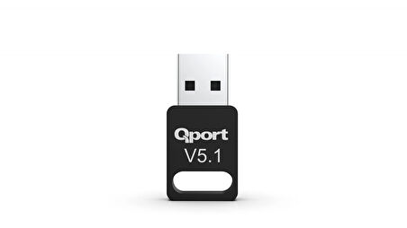 Qport Q-blu5.1 Bluetooth 5.1 Usb Adaptör