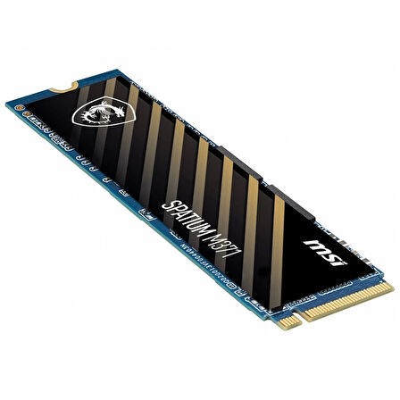 Msı Spatıum M371 Nvme M.2 500gb Ssd