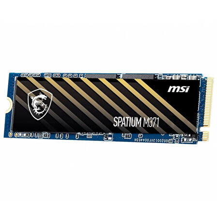 Msı Spatıum M371 Nvme M.2 500gb Ssd