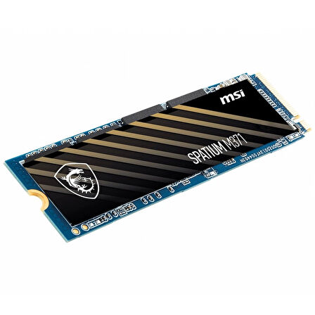 Msı Spatıum M371 Nvme M.2 500gb Ssd