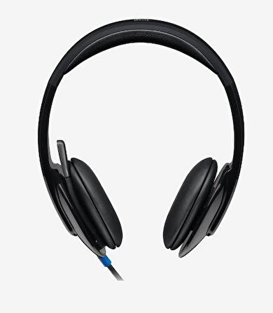 Logıtech H540 Usb Siyah Kulaklık 981-000480
