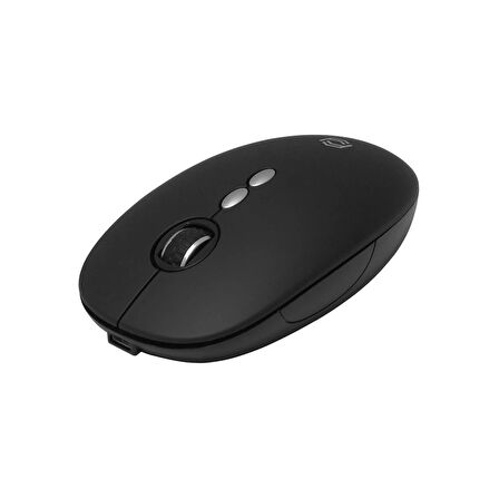 Frısby Fm-256wm Kablolu/kablosuz Mouse Siyah