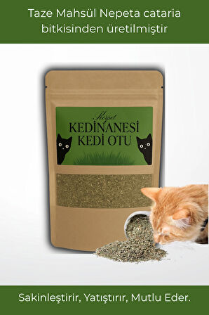 Doğal Orjinal Kedi Nanesi Catnip Kurutulmuş Taze Mahsül 20 gr
