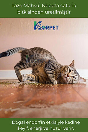 Doğal Orjinal Kedi Nanesi Catnip Kurutulmuş Taze Mahsül 20 gr