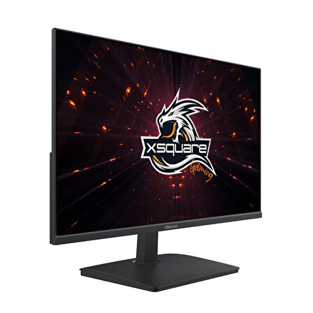 Dexim 23,8" FHD 100Hz 1ms (HDMI+VGA) Freesync IPS Monitör DMT006