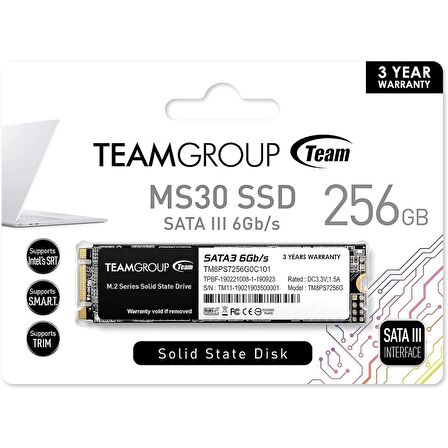 TEAM 256GB MS30 TM8PS7256G0C101 500- 300MB/s M2 SATA-3 Disk