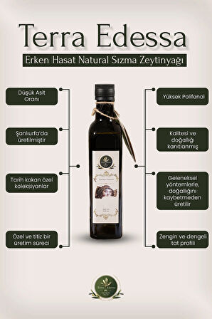 Erken Hasat Natürel Sızma Zeytinyağı - 500 ml - Mezopotamya'nın Bereketli Lezzeti