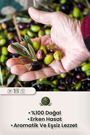 Erken Hasat Natürel Sızma Zeytinyağı - 500 ml - Mezopotamya'nın Bereketli Lezzeti
