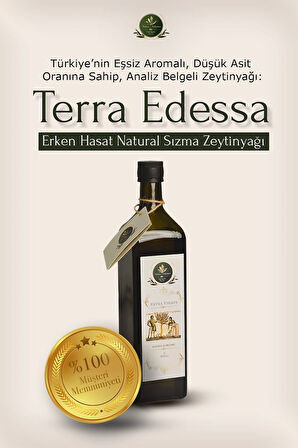 Erken Hasat Natürel Sızma Zeytinyağı - 1 Lt - Mezopotamya'nın Bereketli Lezzeti