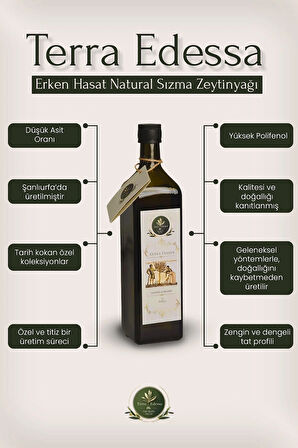 Erken Hasat Natürel Sızma Zeytinyağı - 1 Lt - Mezopotamya'nın Bereketli Lezzeti