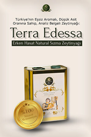 Erken Hasat Natürel Sızma Zeytinyağı - 2 Litre - Mezopotamya'nın Bereketli Lezzeti