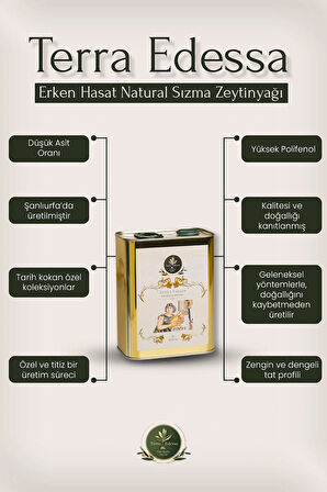 Erken Hasat Natürel Sızma Zeytinyağı - 2 Litre - Mezopotamya'nın Bereketli Lezzeti