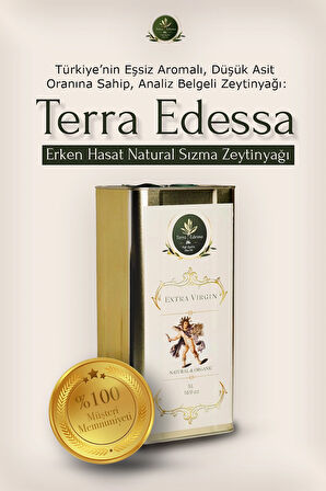 Erken Hasat Natürel Sızma Zeytinyağı - 5 Litre - Mezopotamya'nın Bereketli Lezzeti