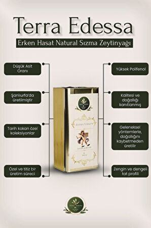 Erken Hasat Natürel Sızma Zeytinyağı - 5 Litre - Mezopotamya'nın Bereketli Lezzeti