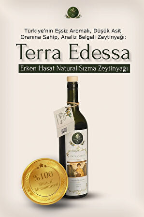 Erken Hasat Natürel Sızma Zeytinyağı - 750 ml - Mezopotamya'nın Bereketli Lezzeti
