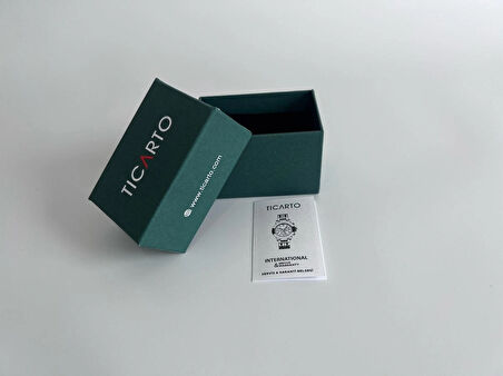 Ticarto Erkek Çelik Kol Saati TCTSR000702S0027