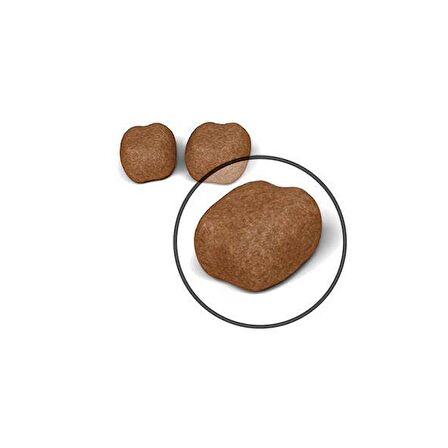 Royal Canin Dental Care Diş Sağlığı için Kuru Kedi Maması 1.5kg
