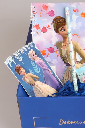 DEKOMUS LİSANSLI İLE GIFT BOX ÖZEL KUTULU "FROZEN KARLAR ÜLKESİ KIRTASİYE SETİ" PİPETLİ BARDAK,SİLGİ,NOT DEFTERİ 