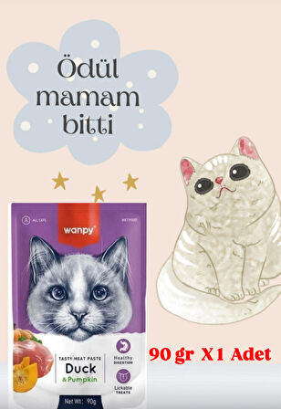 WANPY Ördekli & Balkabaklı Sıvı Kedi Ödül Maması 90 g X 1 Adet SK:2026