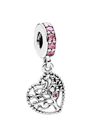 Pembe ve Kırmızı Kalplerimiz Aile Ağacı Charm