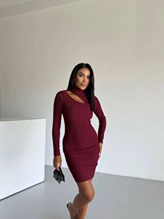 Kadın Bordo Boğazlı Uzun Kollu Ottoman Kumaş Elbise HZL25S-FRY123331