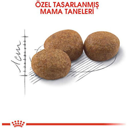 Yetişkin Sterilised 37 Kısır Kedi Maması 4 Kg (original)