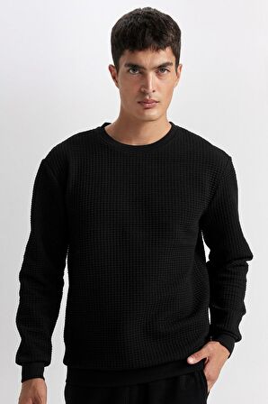 DeFacto Siyah Regular Fit Bisiklet Yaka Jakarlı Sweatshirt D5392AX24AUBK27