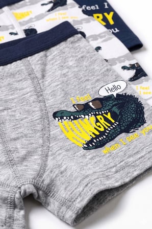 Öts Erkek Çocuk 3’lü Pamuklu Boxer Baskılı Ergonomik Tasarım (7702-3)