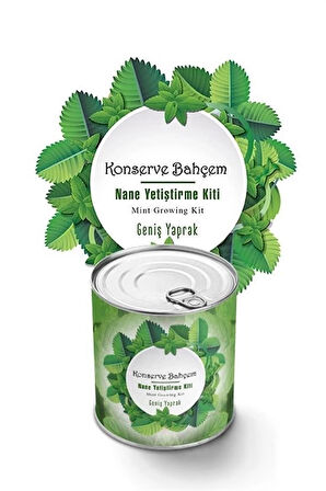 İpek Yıldızı® Konserve Bahçem Nane Yetiştirme Kiti
