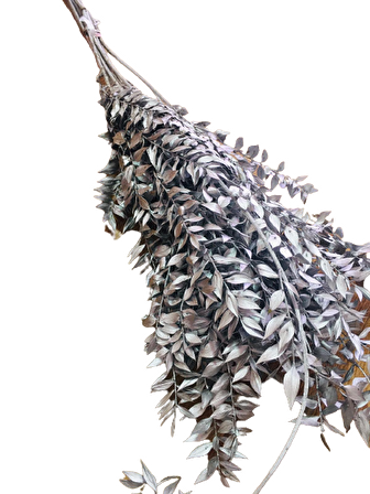 ÇİÇEK KURUSU BUKET GÜMÜŞ 10 DAL 80CM