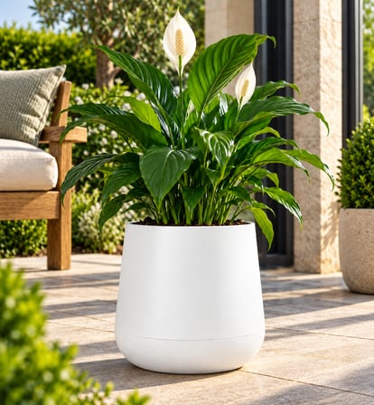 SO-ATL04 Atlas Dekoratif Plastik Modern Saksı 7 LT Beyaz 3 Adet 