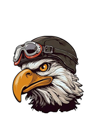 Pilot Kartal sticker Araba, Motorsiklet, AraçEtiket Cam Sticker 19CM