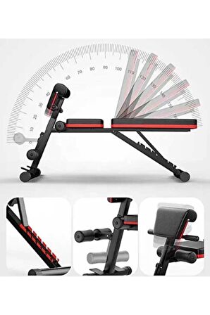 Multiposition Ve Biceps Combo Bench