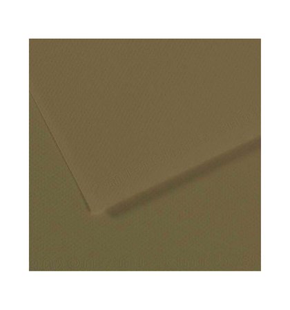 Canson Dokulu Fon Kartonu Mi-Teintes Sh Canmt 50X65Cm 160 Gram Grn Zeytin Yeşili 191 31032S129 (10 Lu Paket)