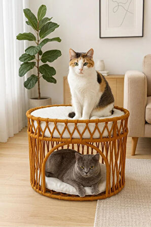 Reyo Tasaryum Çift Katlı Kedi Yatağı Kedi Ranzası, İskandinav Kedi Evi Kahverengi