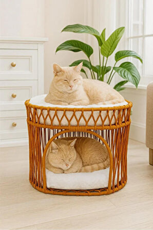 Reyo Tasaryum Çift Katlı Kedi Yatağı Kedi Ranzası, İskandinav Kedi Evi Kahverengi