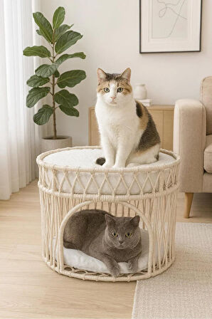 Reyo Tasaryum Çift Katlı Kedi Yatağı Kedi Ranzası, İskandinav Kedi Evi Bej