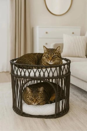 Reyo Tasaryum Çift Katlı Kedi Yatağı ve Kedi Ranzası, Minderli İskandinav Tasarım Kedi Evi, Örgü Gövdeli Kedi Yuvası Antrasit