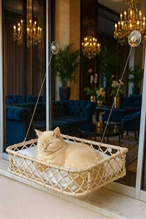 Reyo Tasaryum El Örgüsü Kedi ve Köpek Vantuzlu Cam Yatağı, Hamak Krem