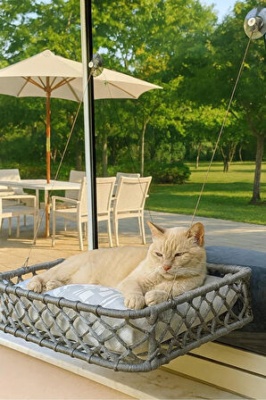 Reyo Tasaryum El Örgüsü Kedi ve Köpek Vantuzlu Cam Yatağı, Kedi Hamağı Puf Minderli Gri