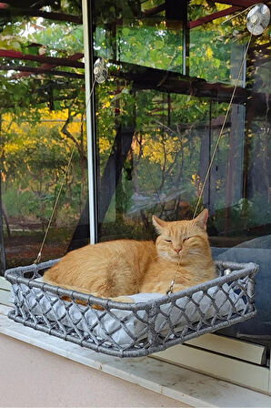 Reyo Tasaryum El Örgüsü Kedi ve Köpek Vantuzlu Cam Yatağı, Kedi Hamağı Puf Minderli Gri