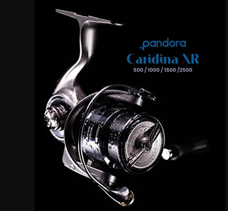 Pandora Caridina XR 2500S 9+1BB LRF Olta Makinesi