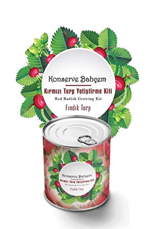 Konserve Bahçem Evde Konservede Fındık Turp Yetiştirme Kiti