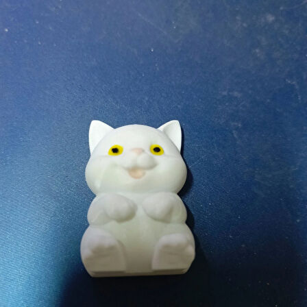 Oturan Beyaz Yavru Kedi  Magnet