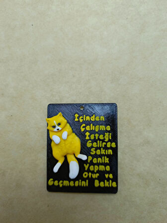 Miskin Kedi - Yazılı  Magnet